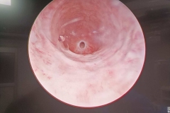 WhatsApp-Image-2025-07-12-at-1.19.22-PM-Copy