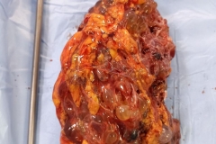 WhatsApp-Image-2025-07-12-at-1.20.45-PM