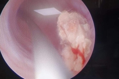 WhatsApp-Image-2025-07-12-at-1.22.38-PM