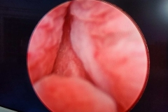 WhatsApp-Image-2025-07-12-at-1.31.58-PM