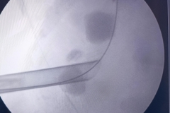 WhatsApp-Image-2025-07-12-at-12.37.47-PM